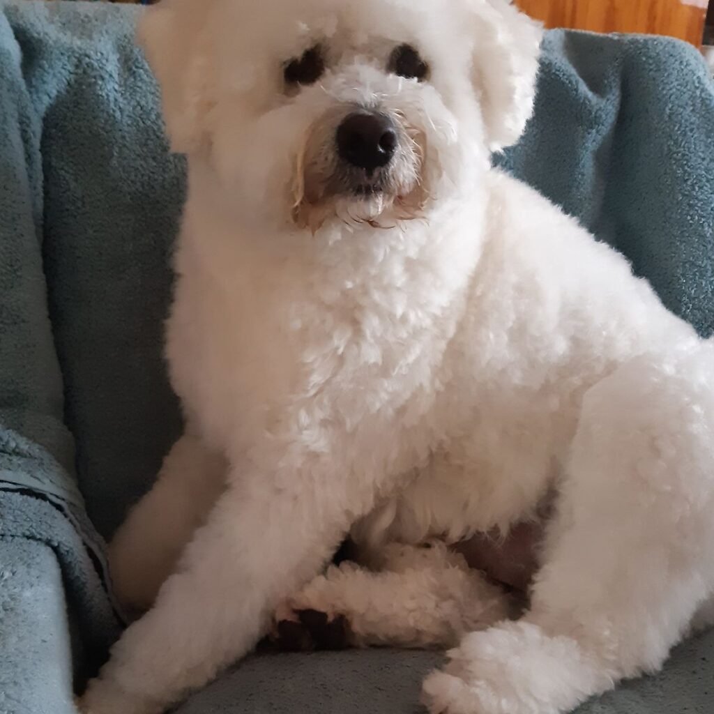 Kép #1 a Szilvia Szabó képből