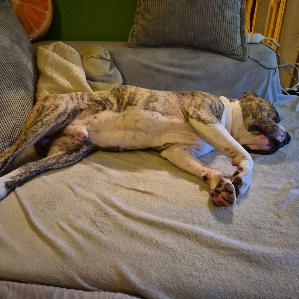 Kép #1 a Ildikó képből