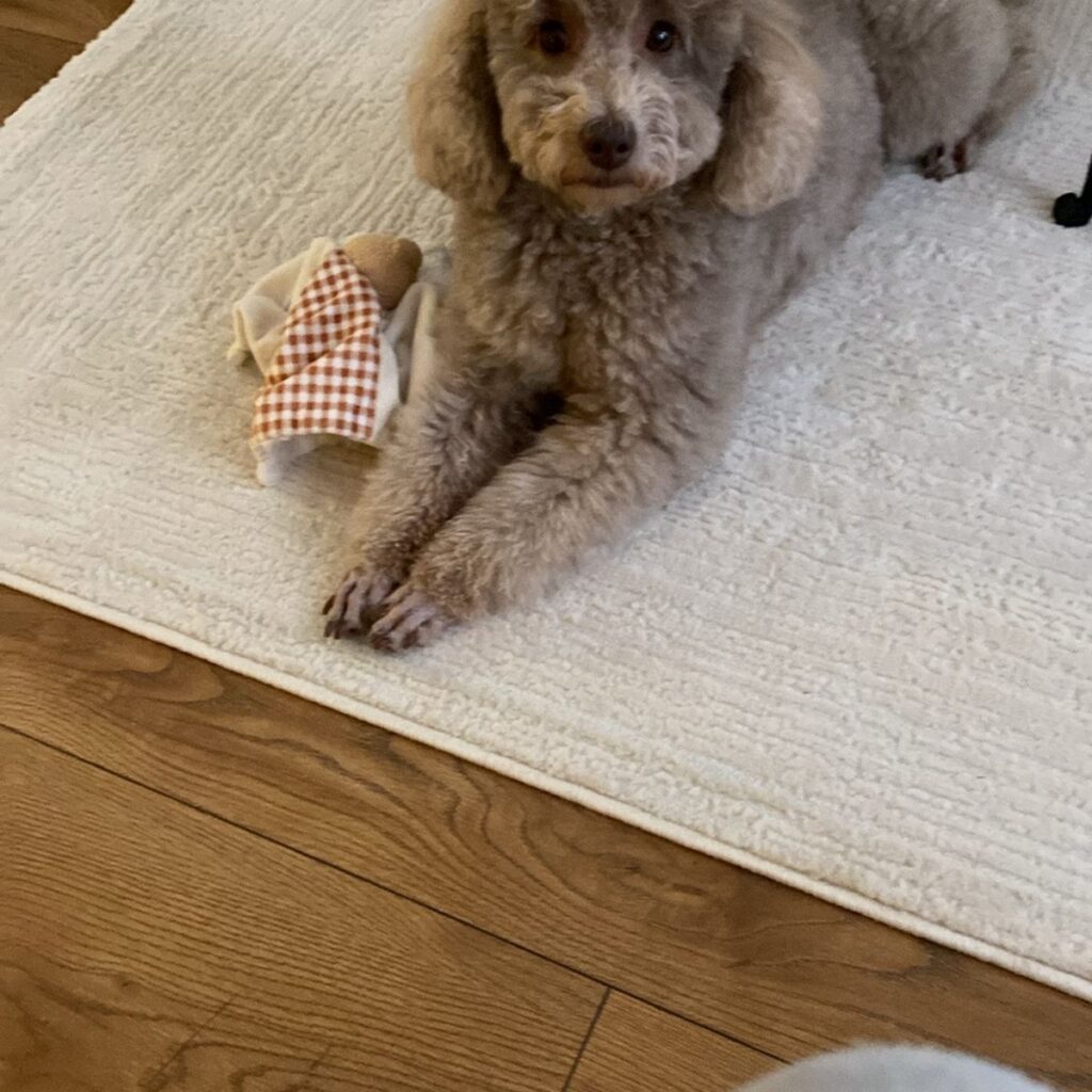 Kép #1 a Zsuzsa M. képből