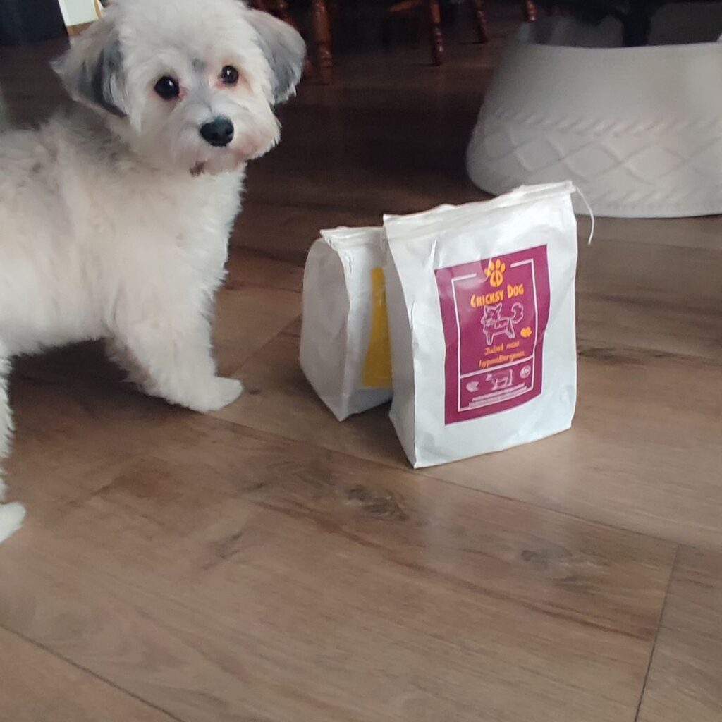 Erdélyi kopó 180 Kép #1 a Réka H. képből