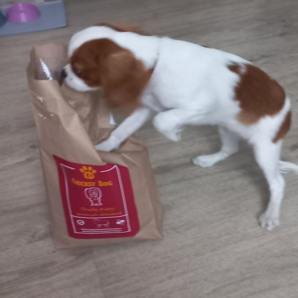 Kép #1 a Ákosné Nagykéri képből