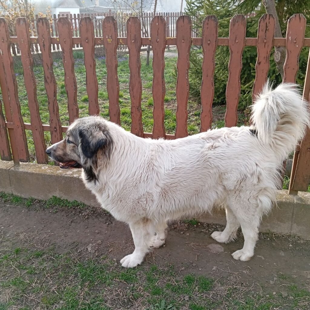 Kép #1 a Zsuzsanna Takács képből