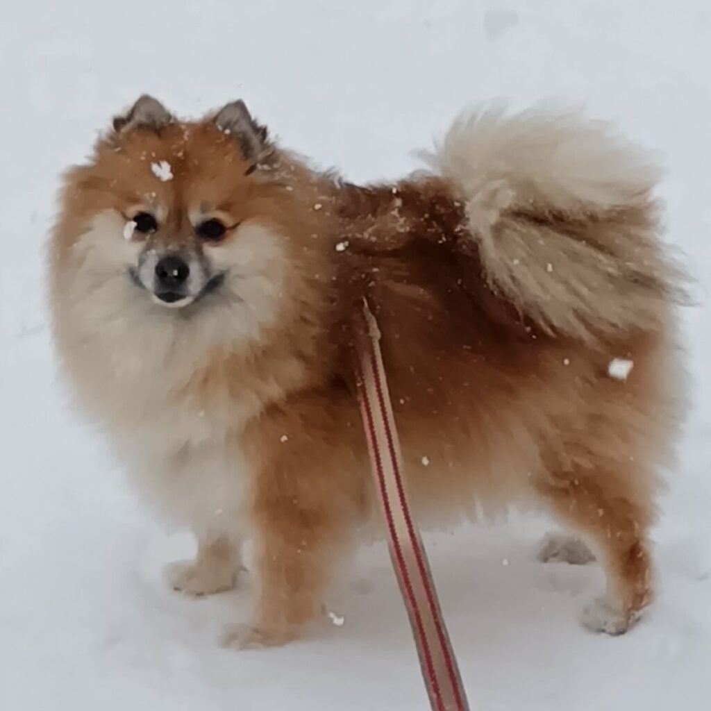 Kép #1 a Katalin Neszneráné Gali képből