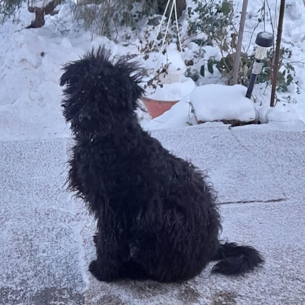 Kép #1 a Ilona T. képből