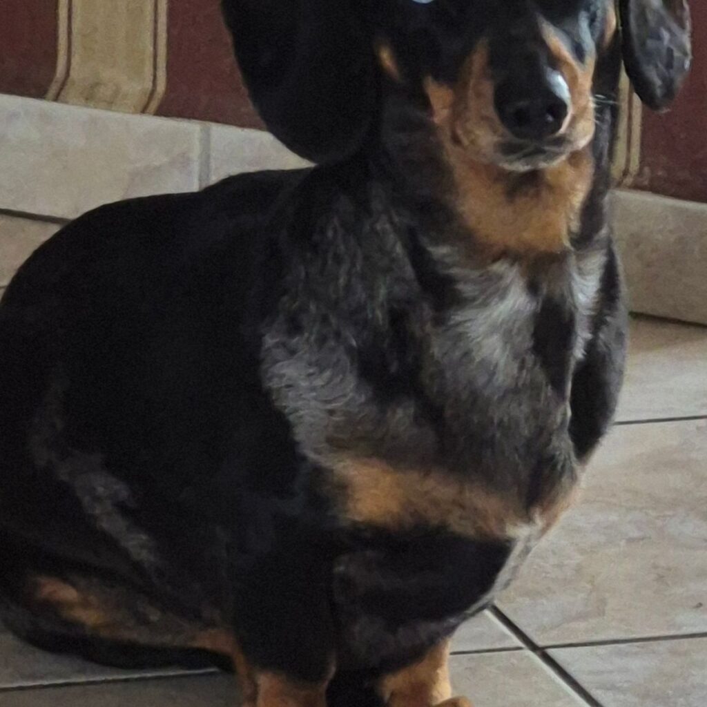 Kép #2 a Mária Tanka képből