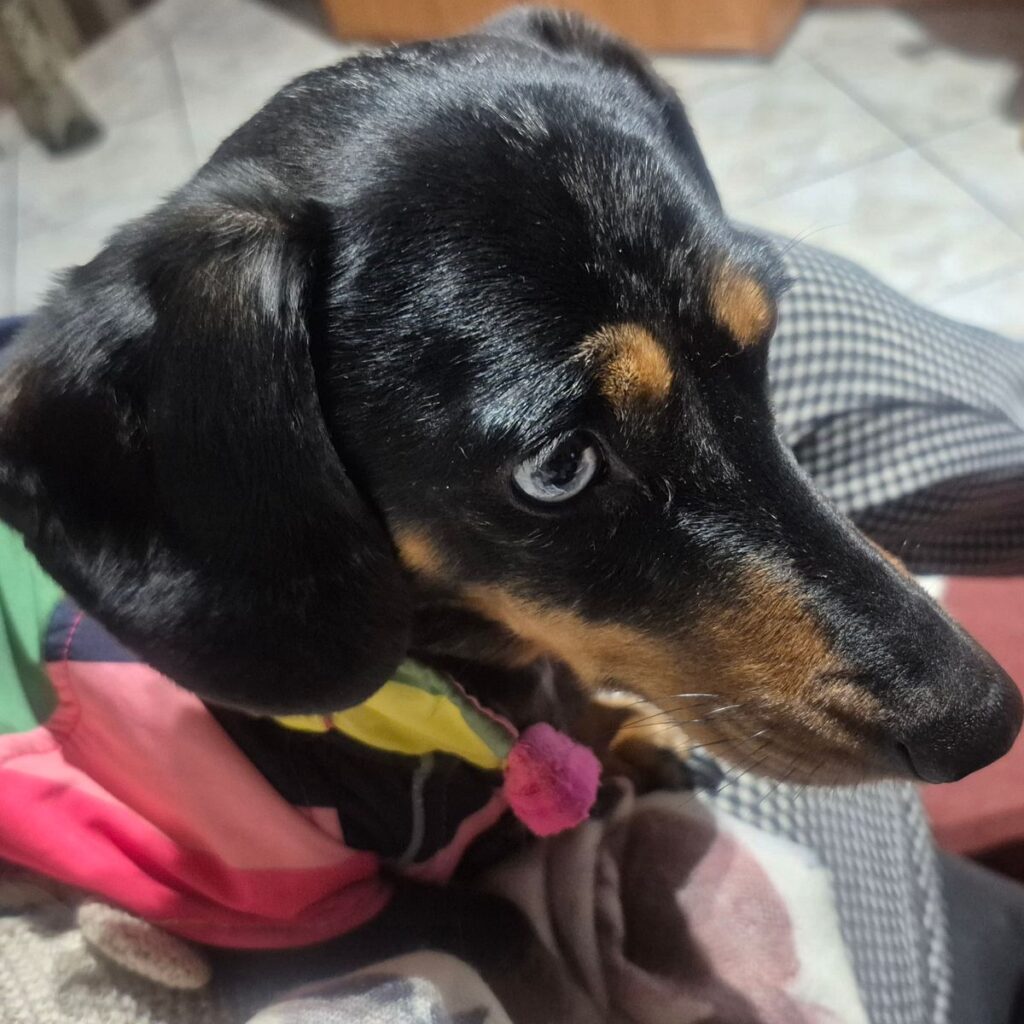 Kép #3 a Mária Tanka képből