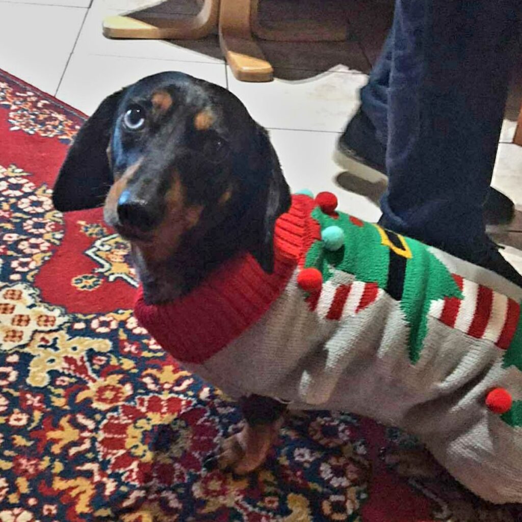 Kép #1 a Mária Tanka képből