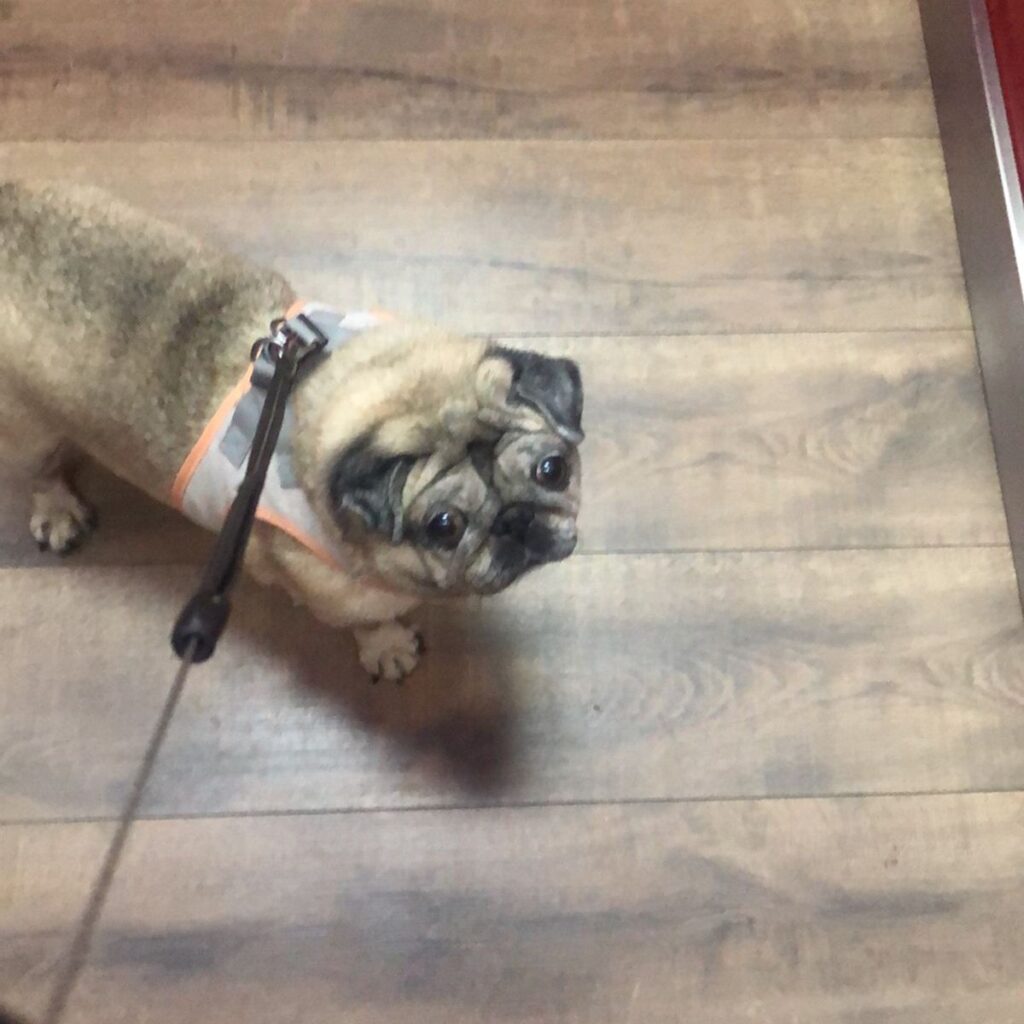 Kép #1 a Krisztina képből