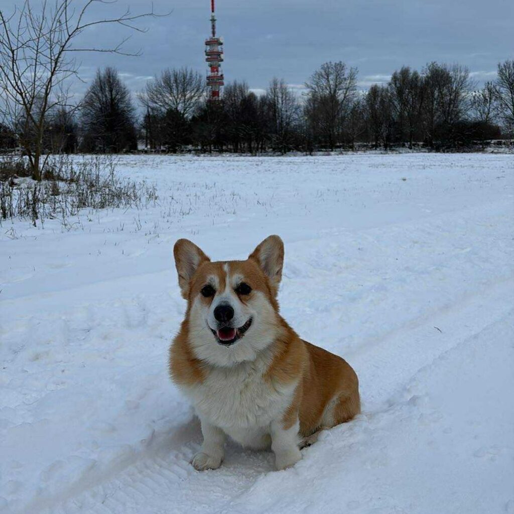 Kép #1 a Zsófi P. képből