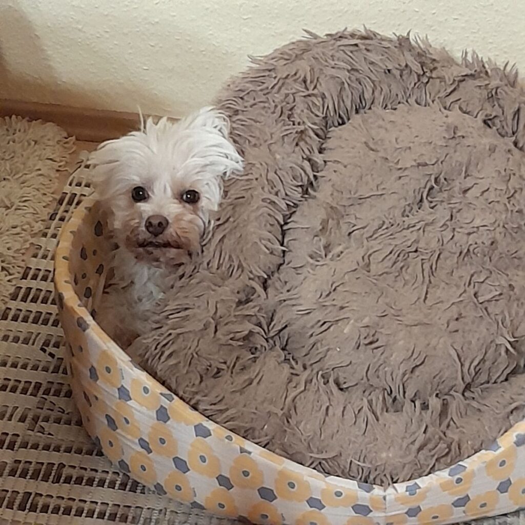 Kép #1 a Károlyné képből