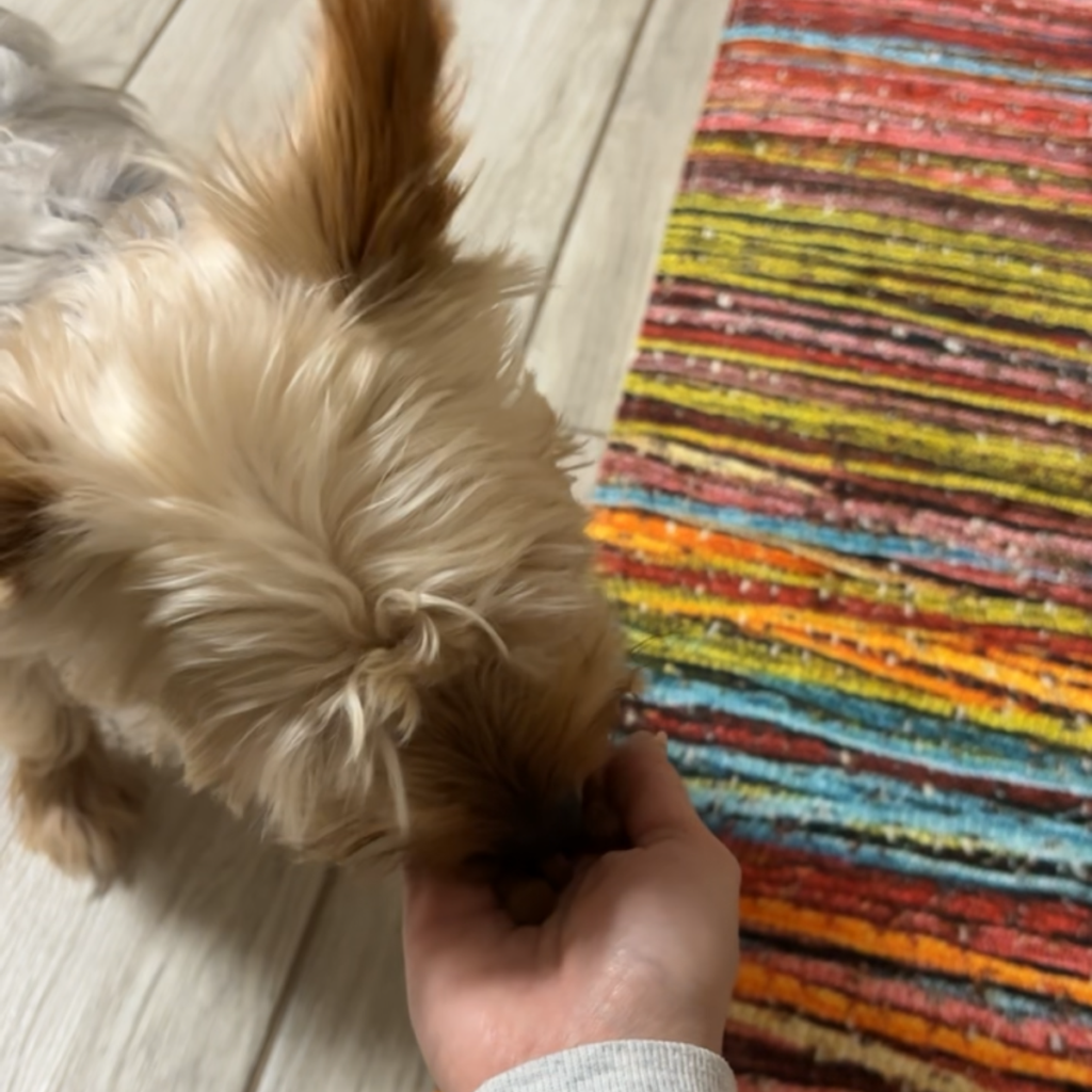 Kép #2 a Faragó Éva képből