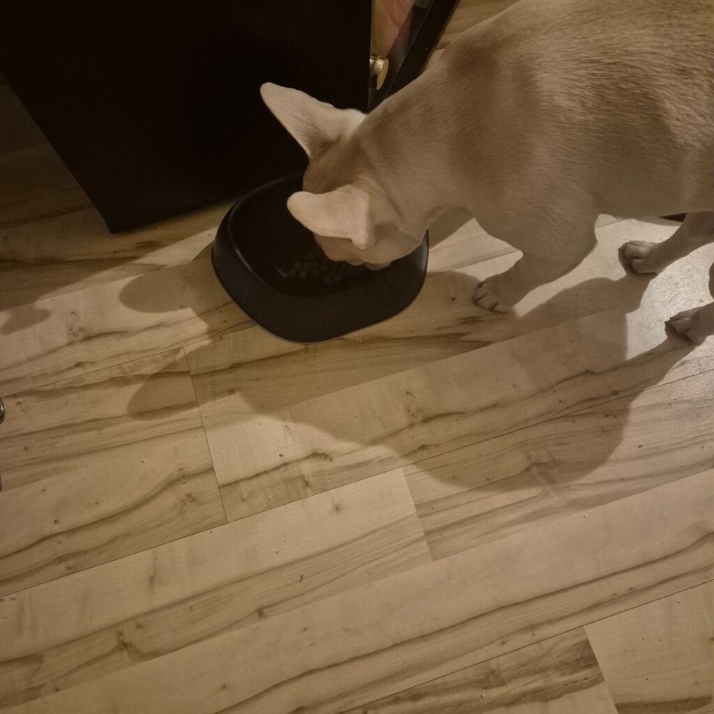 Kép #1 a Henriett képből