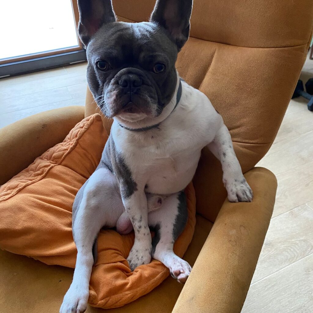 Kép #1 a Monika képből