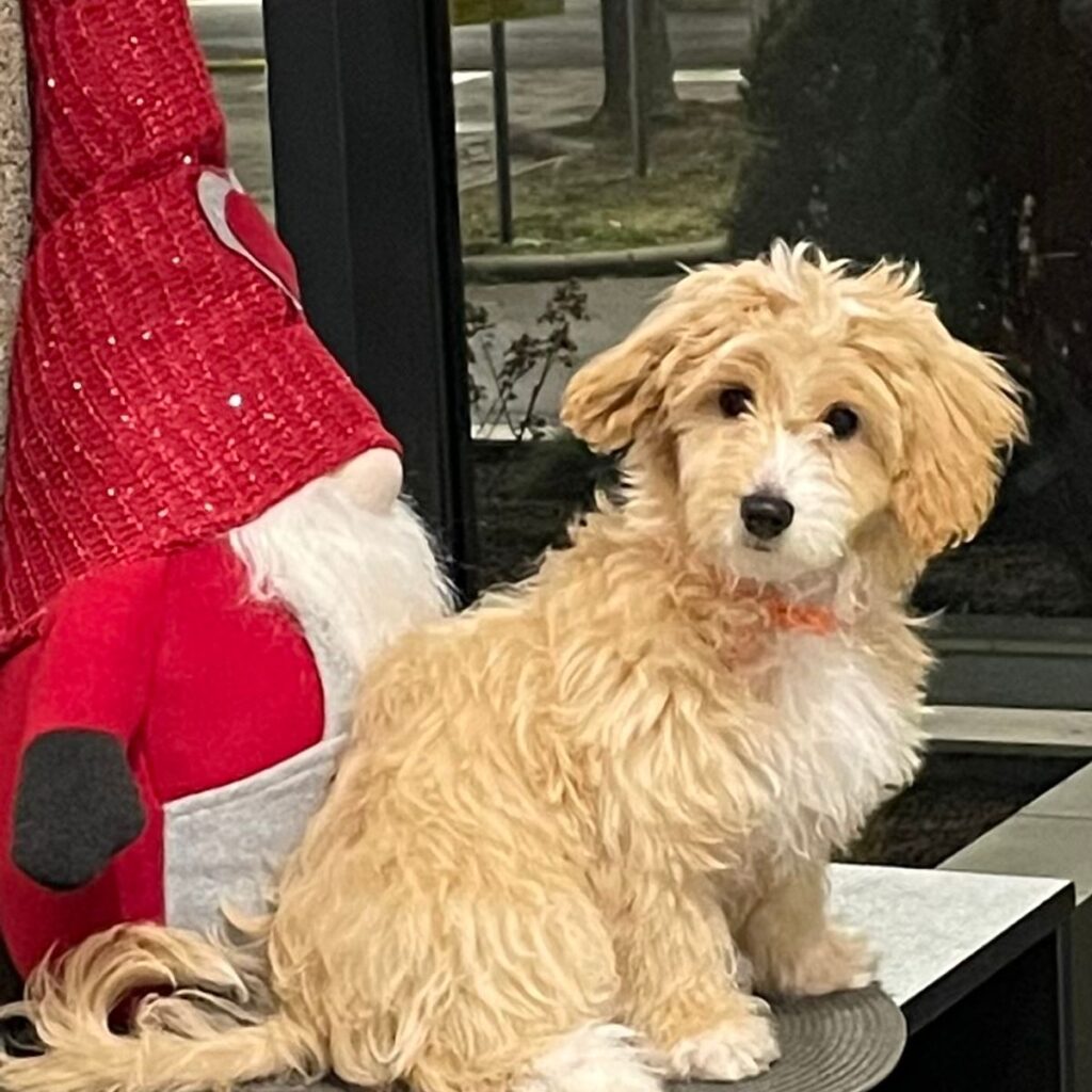 Kép #1 a Judit Kővári képből