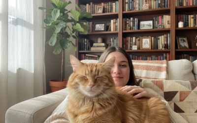 Macskás blog 22 Macska szeretet kimutatása – Minden, amit tudnod kell róla!