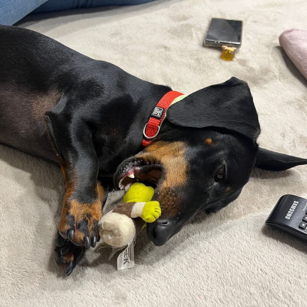 Kép #1 a Regina Somogyi képből