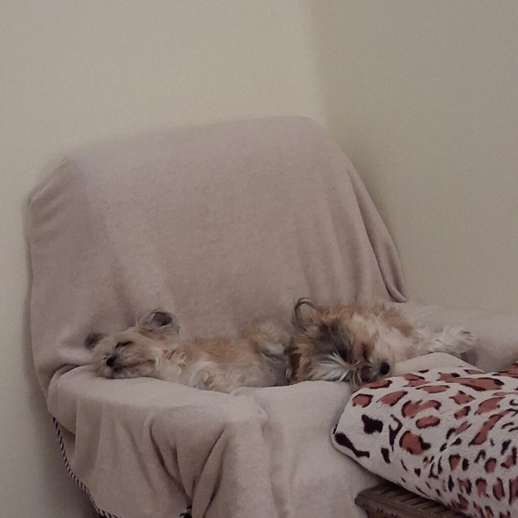 Kép #1 a Prozlikné Gabnai E. képből