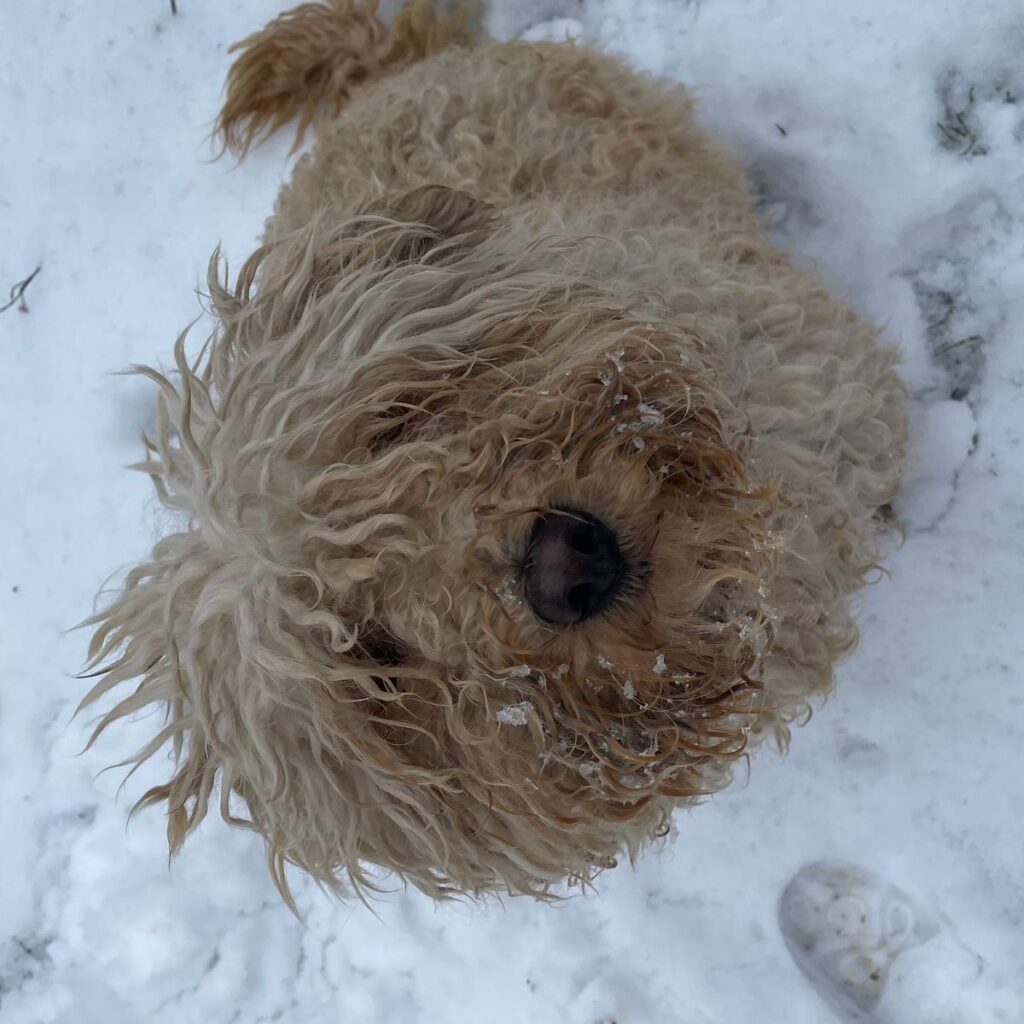 Kép #1 a Terézia Csurcsia képből