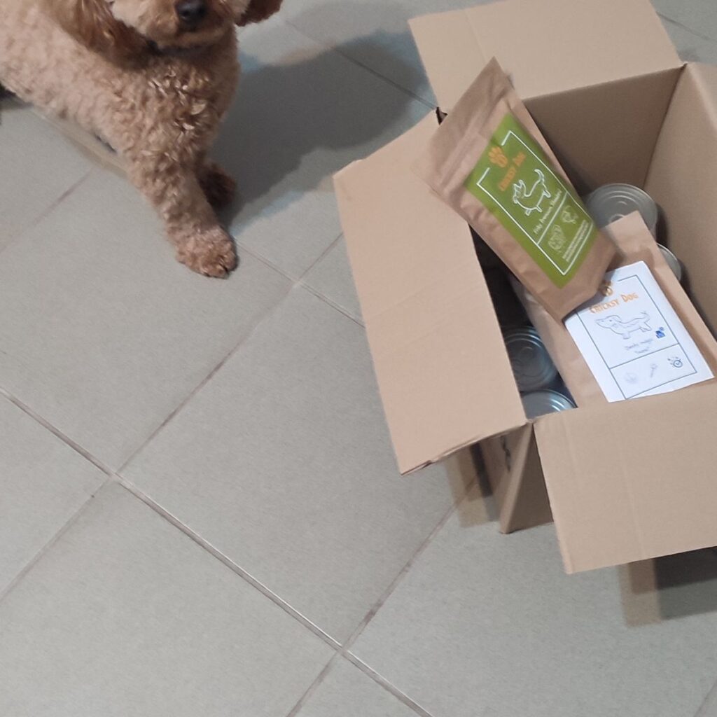 Kép #1 a Bernadett képből