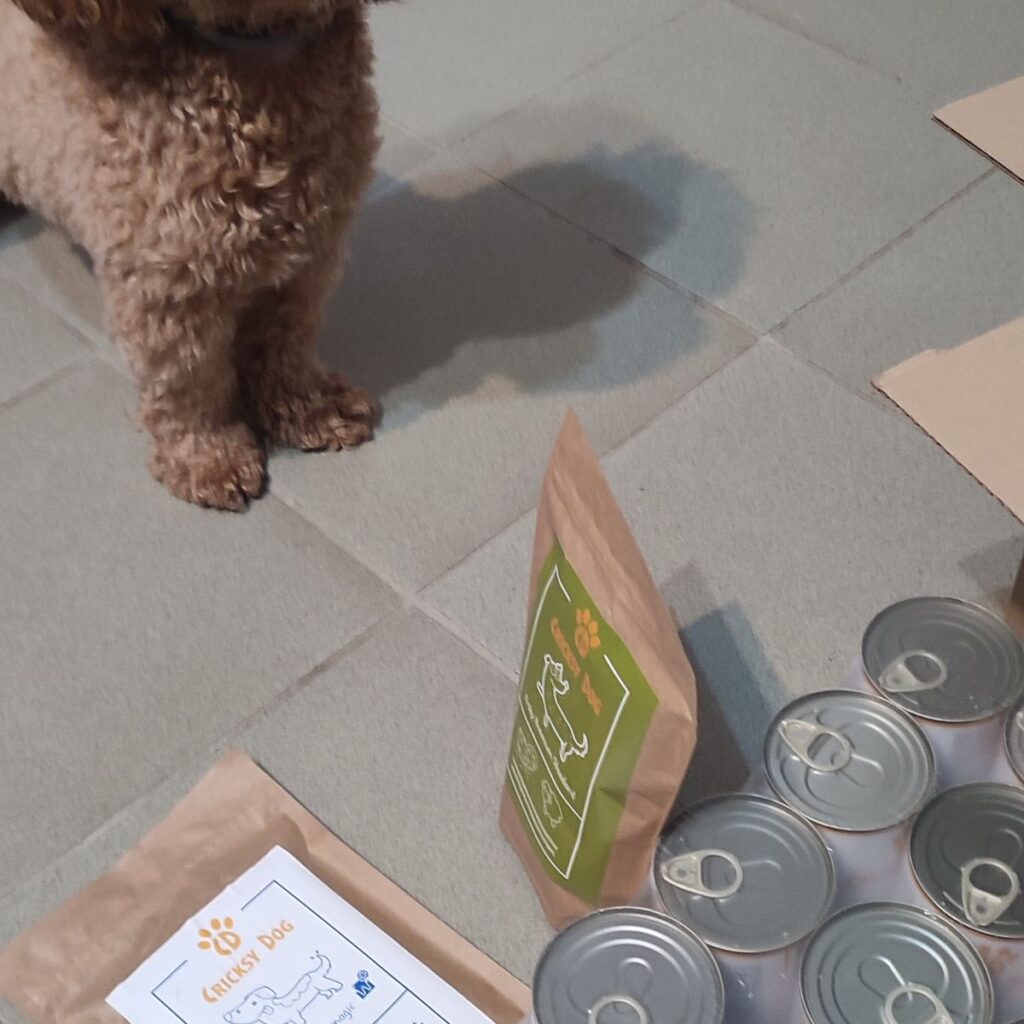 Kép #1 a Bernadett képből