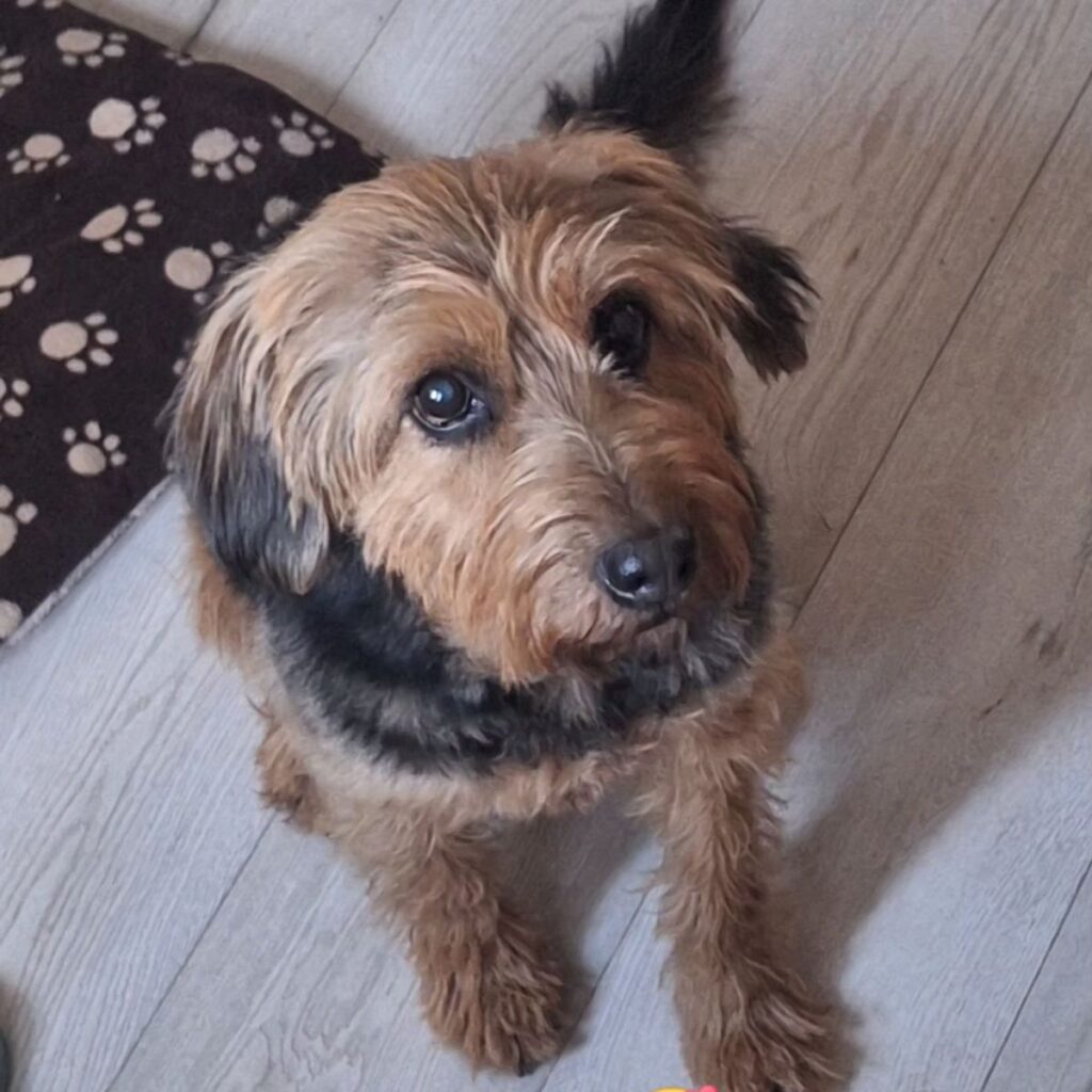 Kép #1 a Ilona Vadas képből