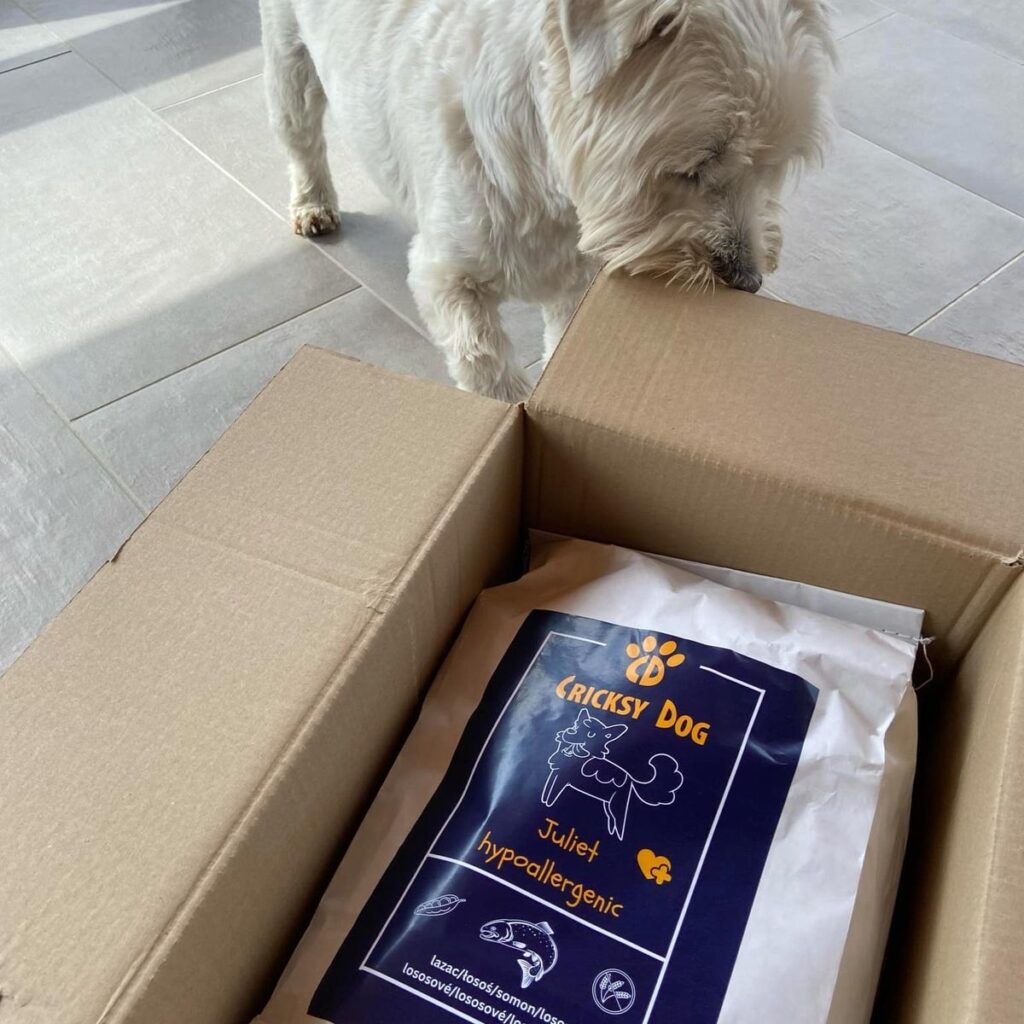 Kép #2 a Györgyi Vargáné Szabó képből