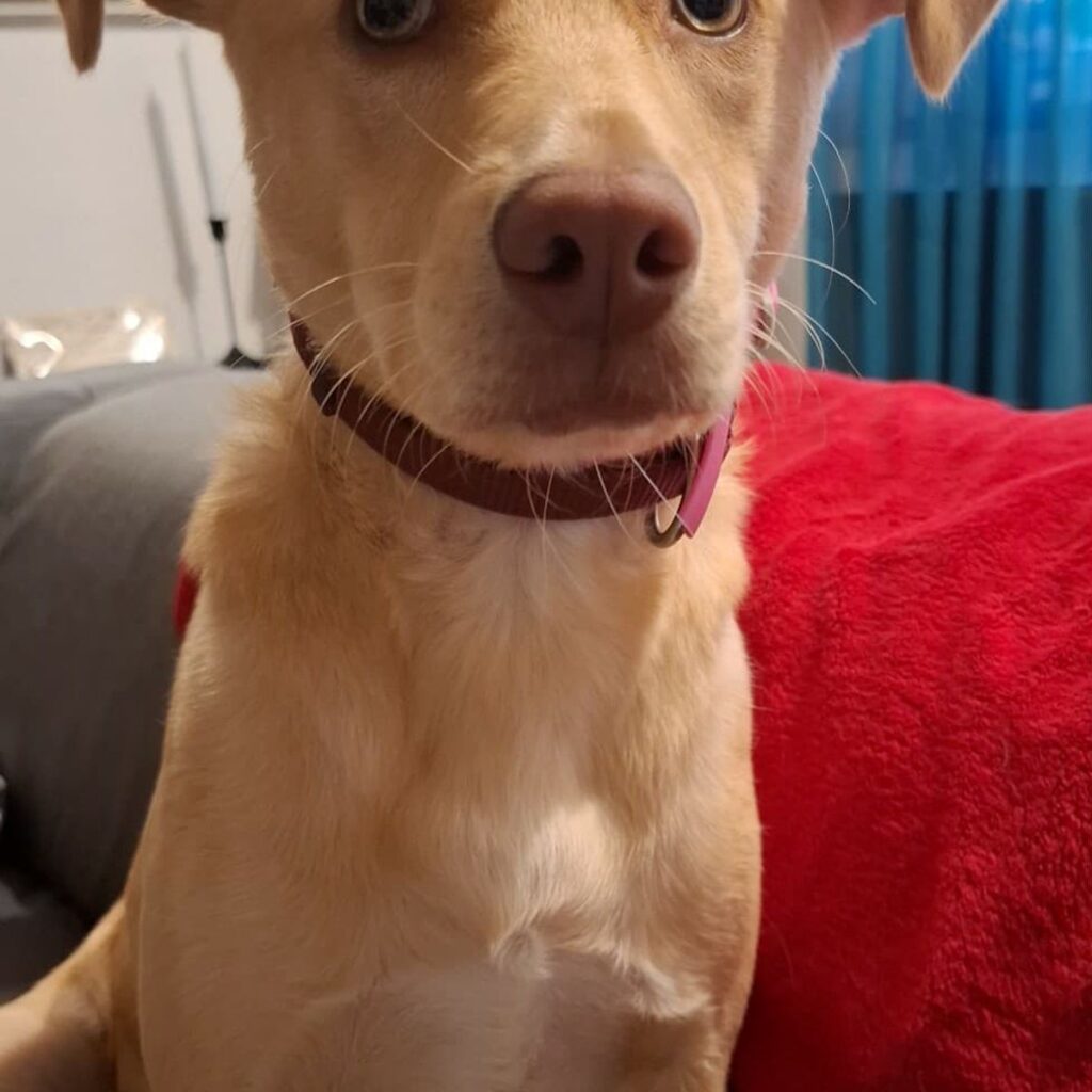 Kép #1 a Mariann Gruber képből