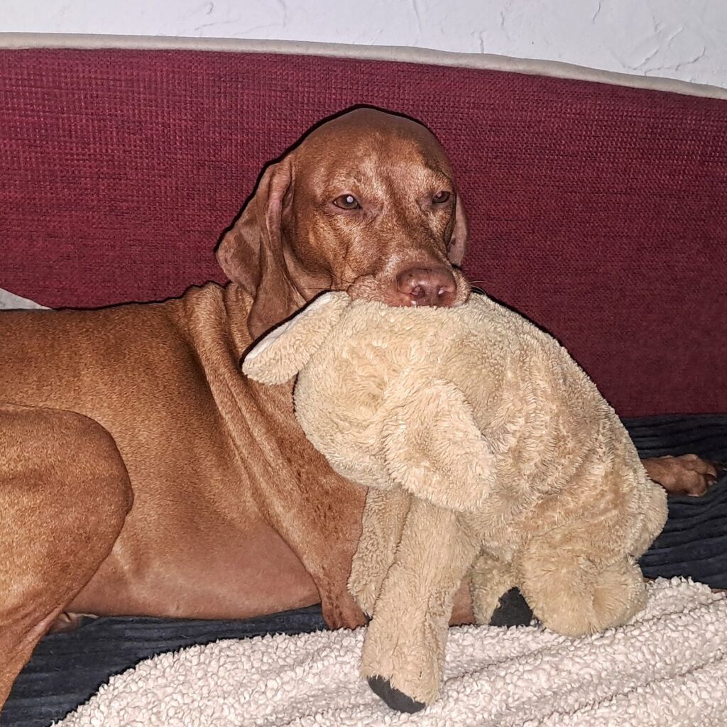 Kép #1 a Eryka képből