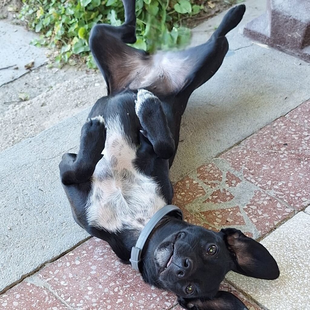 Kép #1 a Nikoletta képből