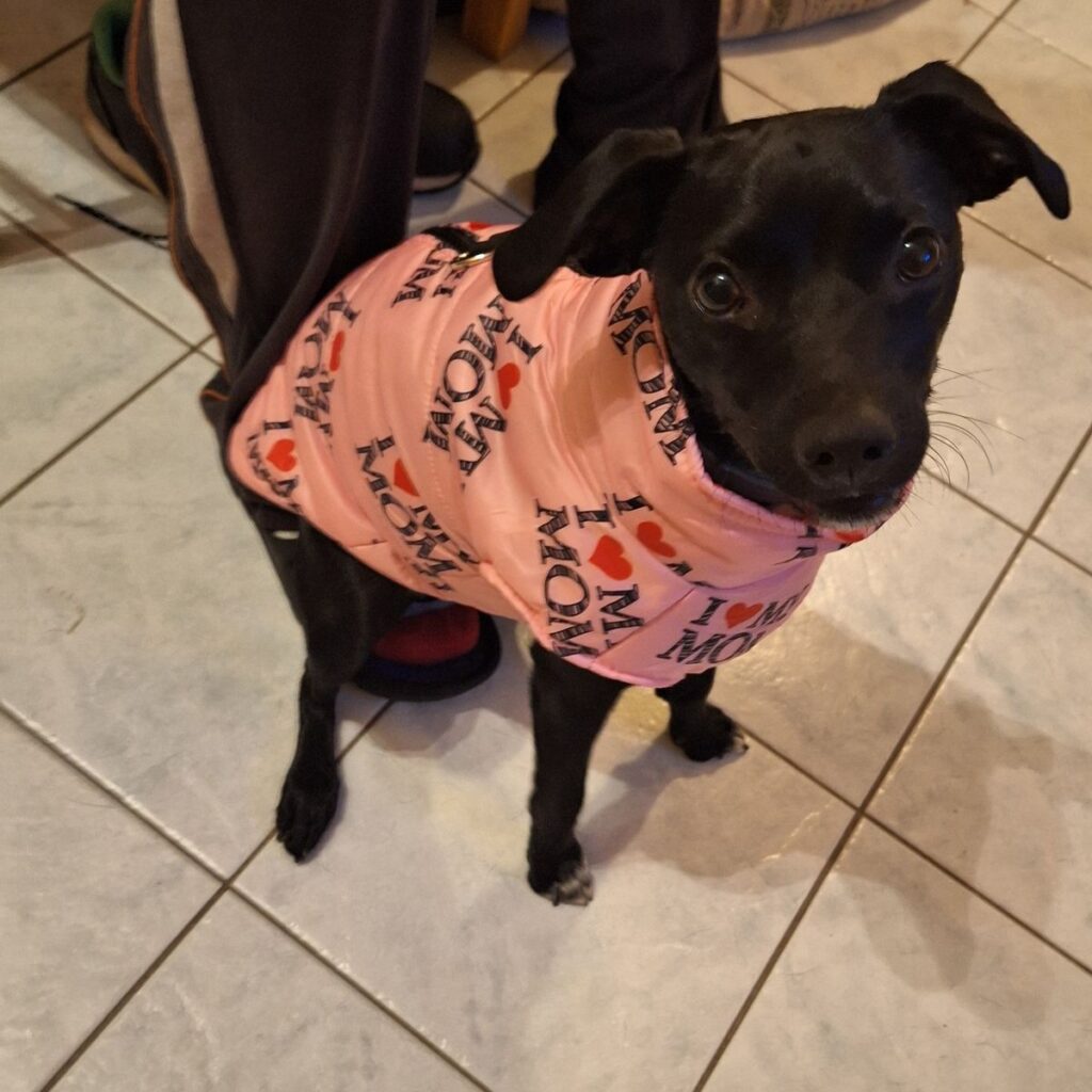 Kép #1 a Nikoletta képből