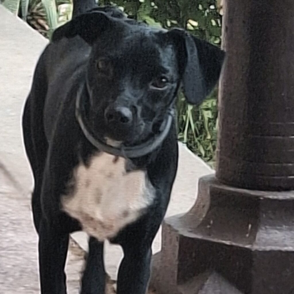 Kép #1 a Nikoletta képből