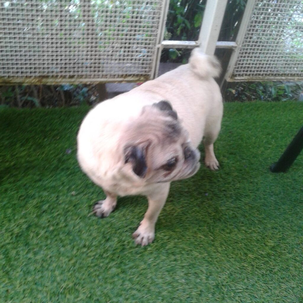 Kép #1 a Ágnes Szabadkai képből