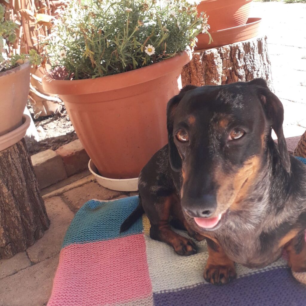 Kép #2 a Névtelen képből