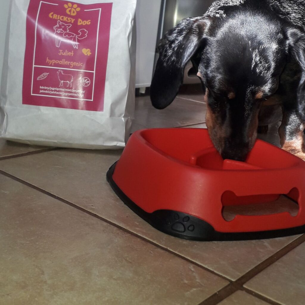 Kép #1 a Névtelen képből