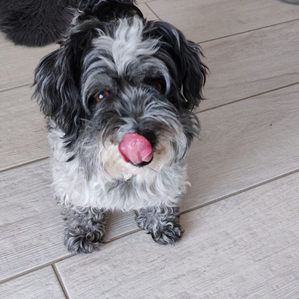 Kép #1 a krisztina amrein képből