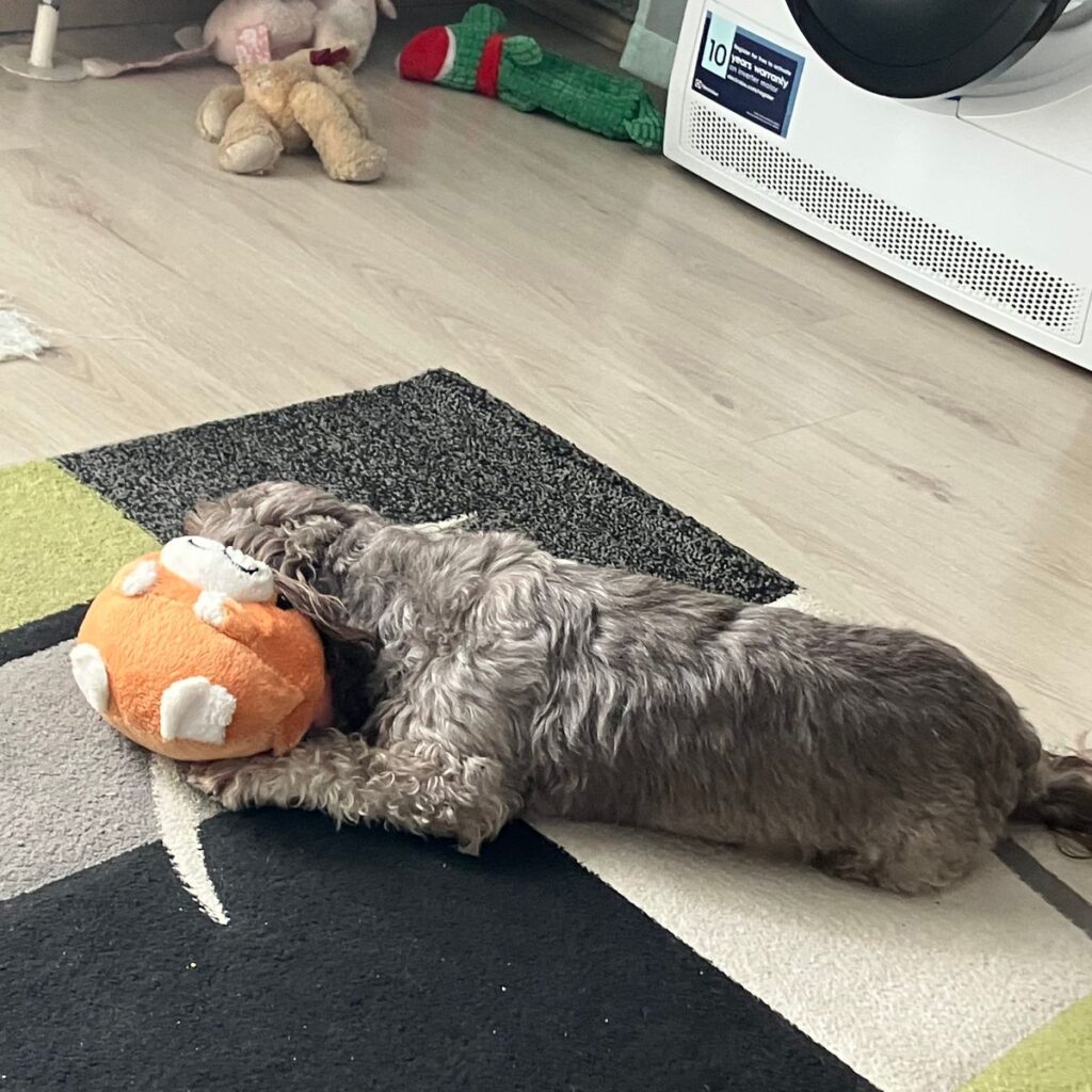 Kép #1 a Attila Oláh képből