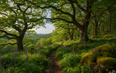 Tavaszi túra árnyékos helyeken – hogyan válassz útvonalat?