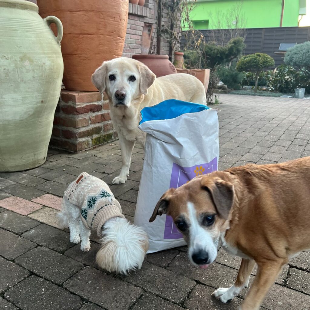 Kép #1 a Gabriella K. képből