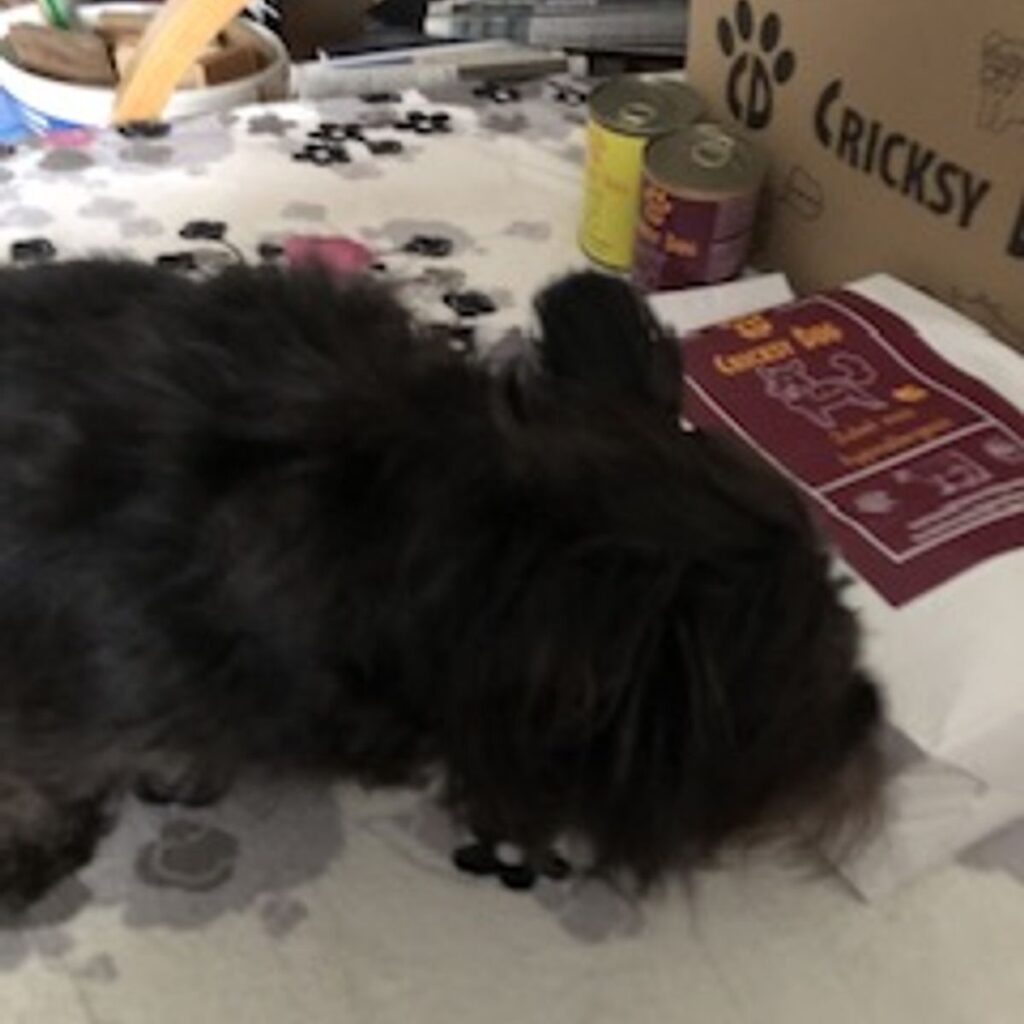 Kép #1 a Tunde B. képből