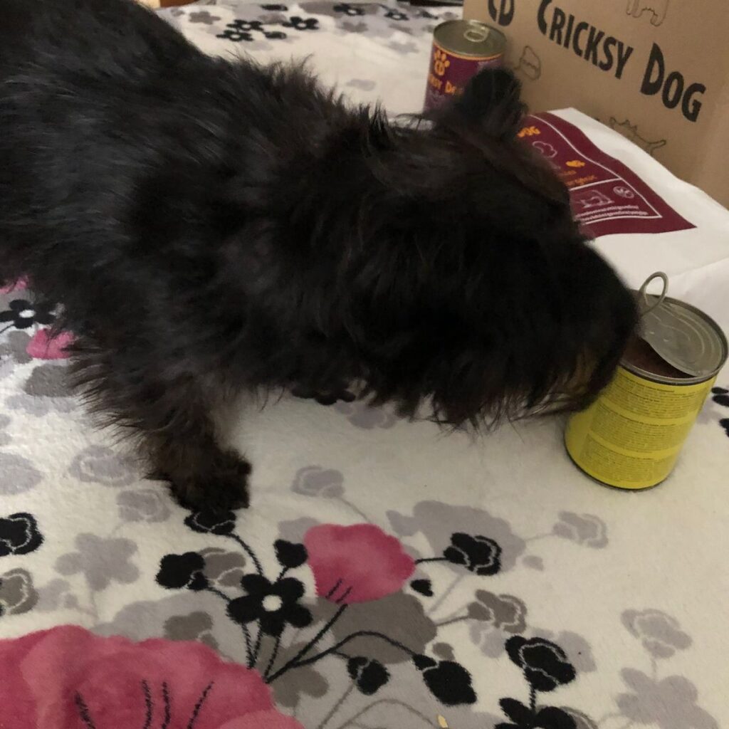 Kép #1 a Tunde B. képből