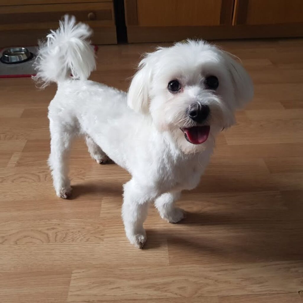 Kép #1 a Halgat Péter képből