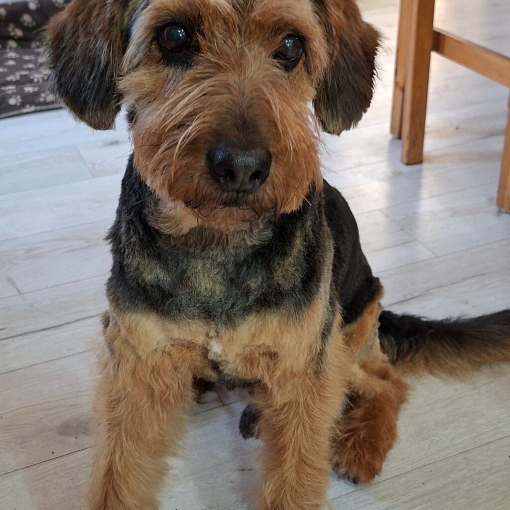 Kép #1 a Ilona képből