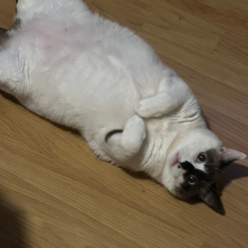 Kép #1 a János Zita képből