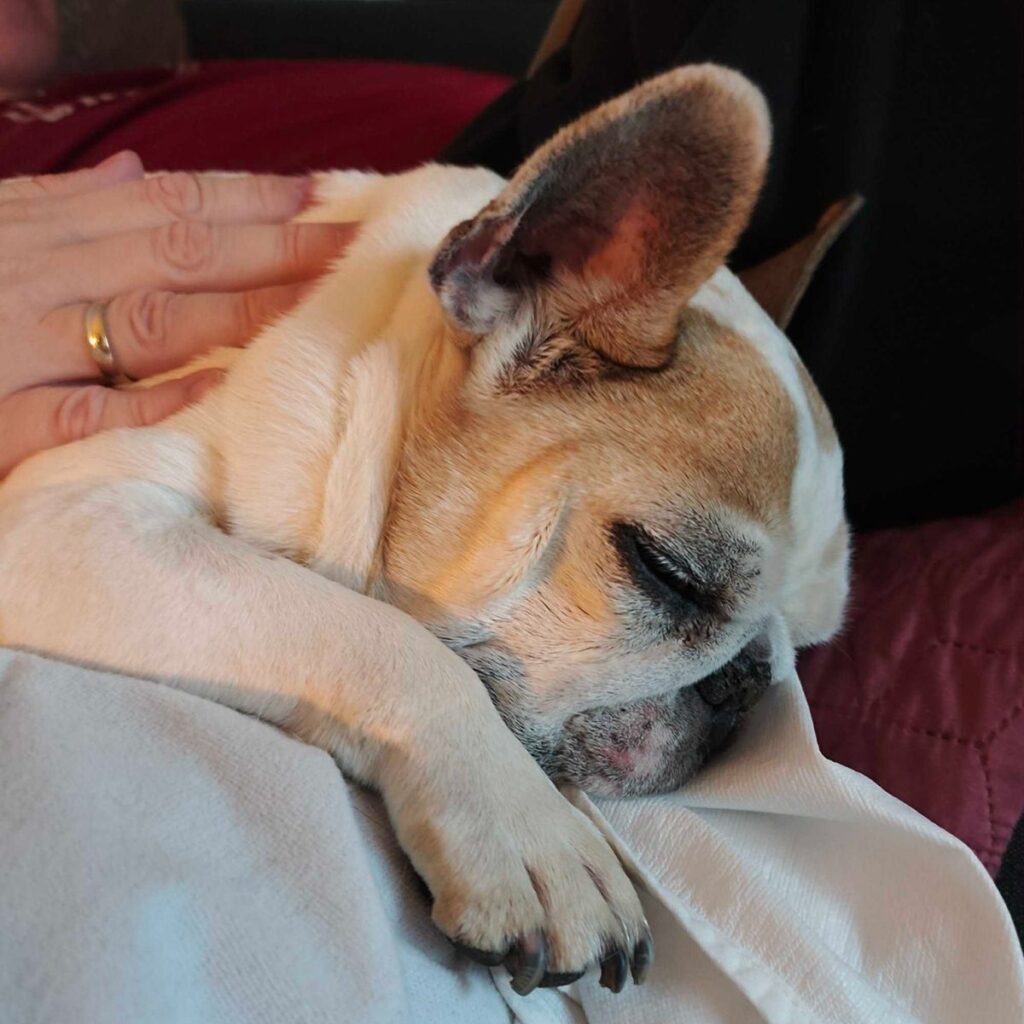 Kép #1 a Várkondi L. képből