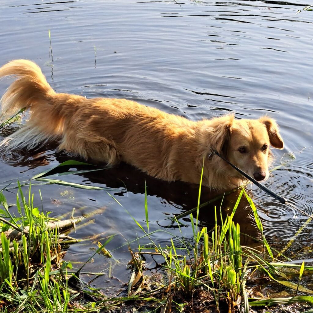 Kép #1 a Magdolna B. képből