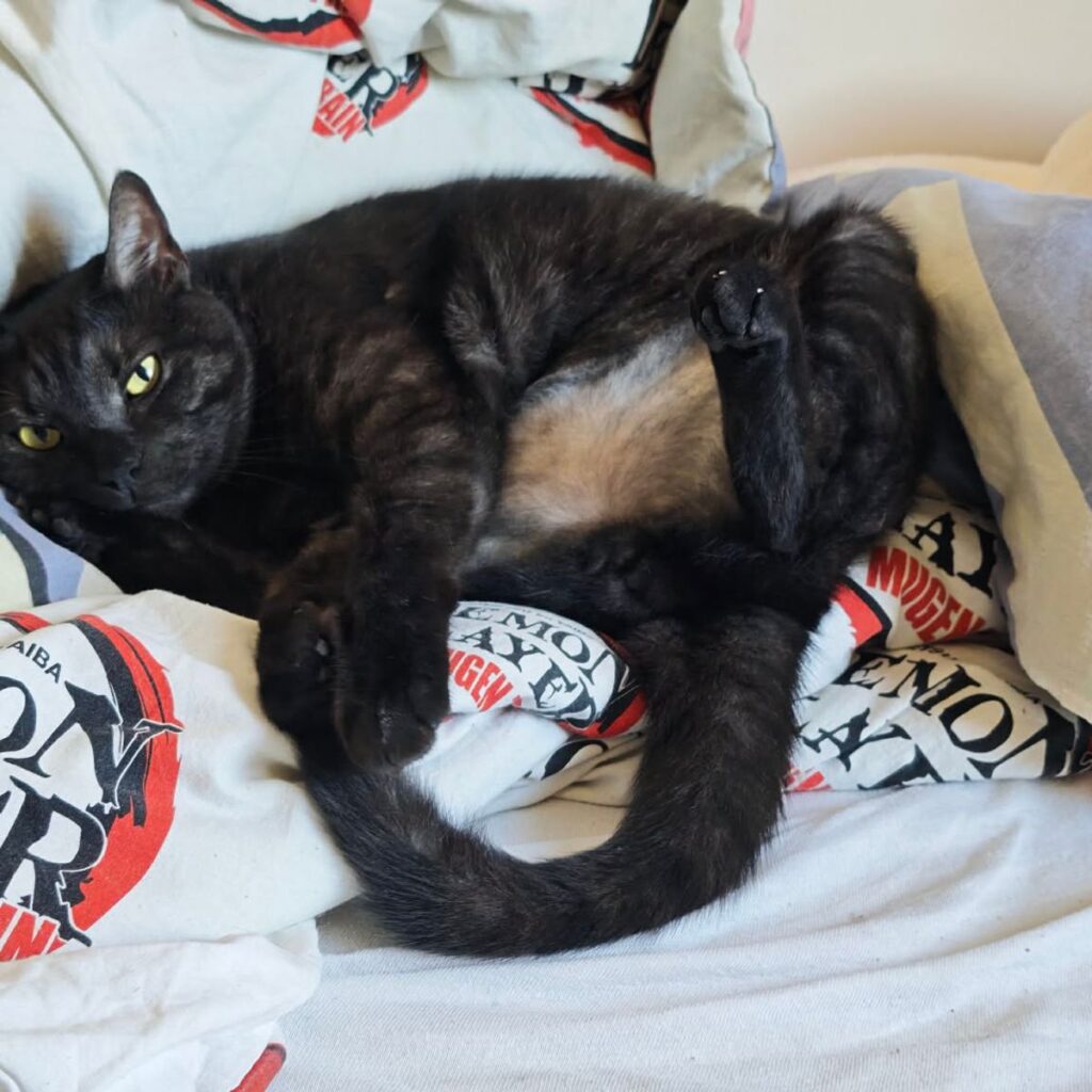 Kép #1 a Jázmin képből