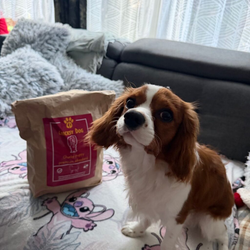 Kép #1 a Tímea képből