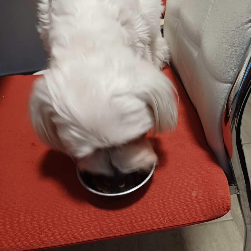 Kép #1 a Márta Tokaj Jánosné képből