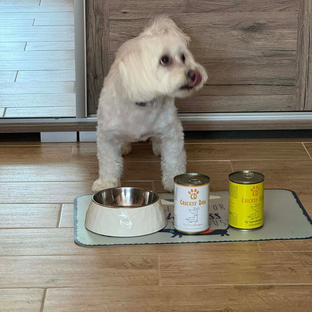 Kép #1 a Edit G. képből