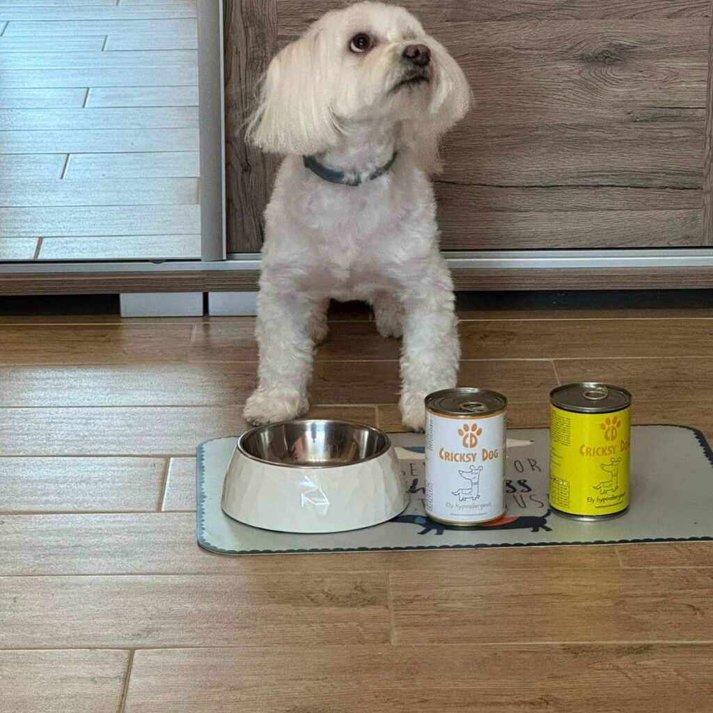 Kép #1 a Edit G. képből